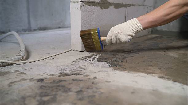 SJ Waterproofing Pros Waterproofing coverage map for Paragon, IN and surrounding area